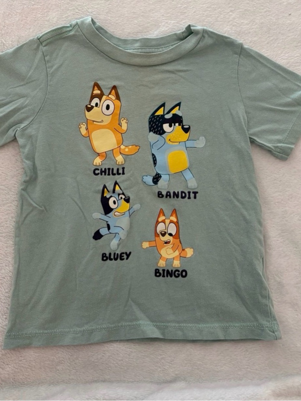Bluey Character Short Sleeve Tee - Sage Green Size 3T (runs small)